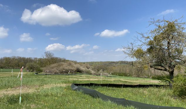 Vogelvergrämung und Amphibienschutzzaun