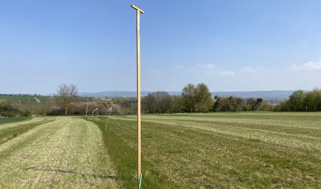 Vogelvergrämung mittels Greifvögelansitz