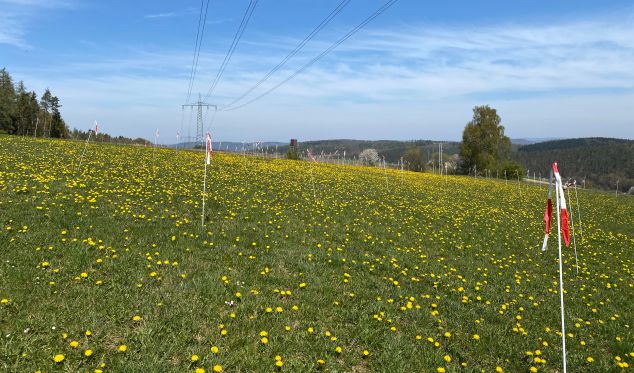 Flächige Vogelvergrämung