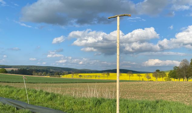 Jule / Greifvogelansitz