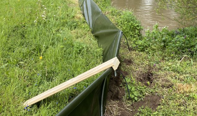 Holzausstiegshilfe am Amphibienschutzzaun