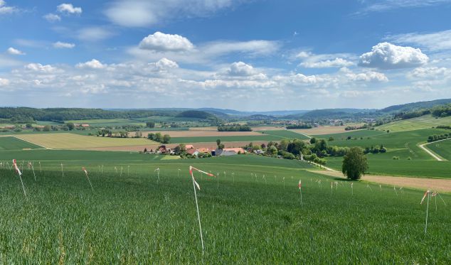 Feldvogelvergrämung mit Vergämungsstäben