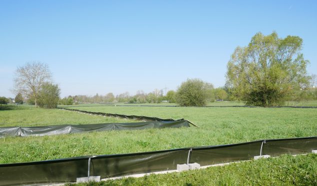 Grasnarbenfreundlicher Aufbau des Amphibienschutzzauns